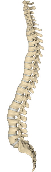 spinal instability